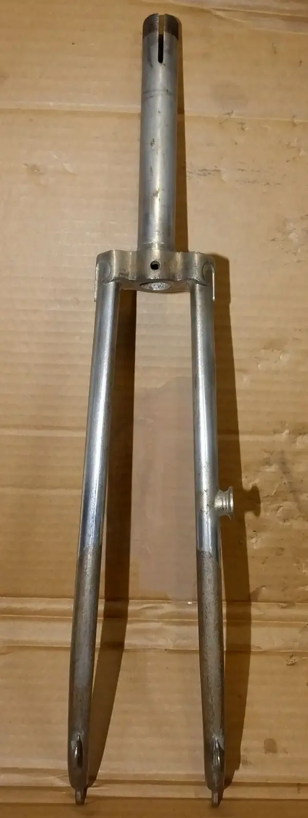 DSCF7537.webp