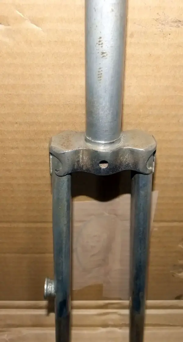 DSCF7539.webp