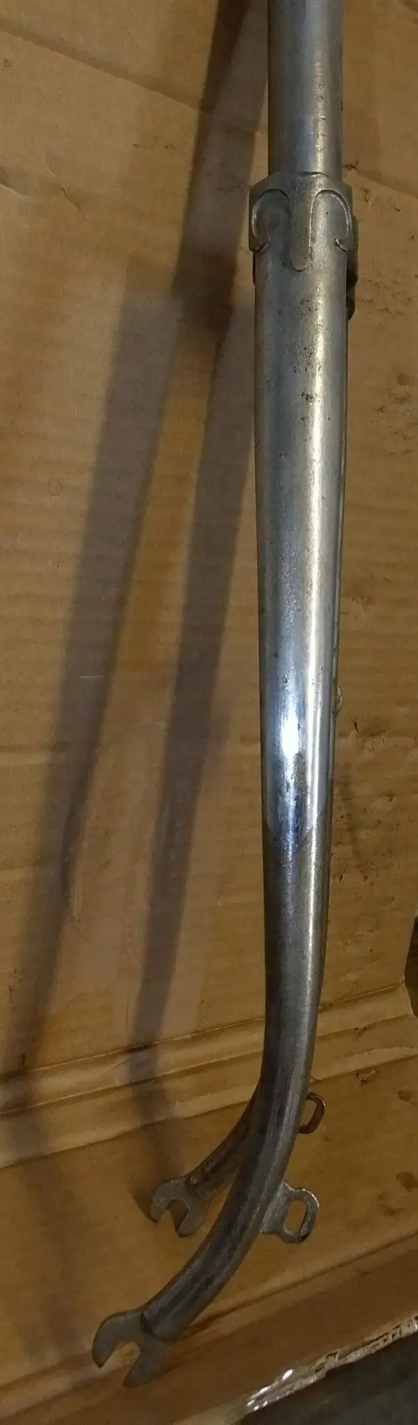 DSCF7546.webp
