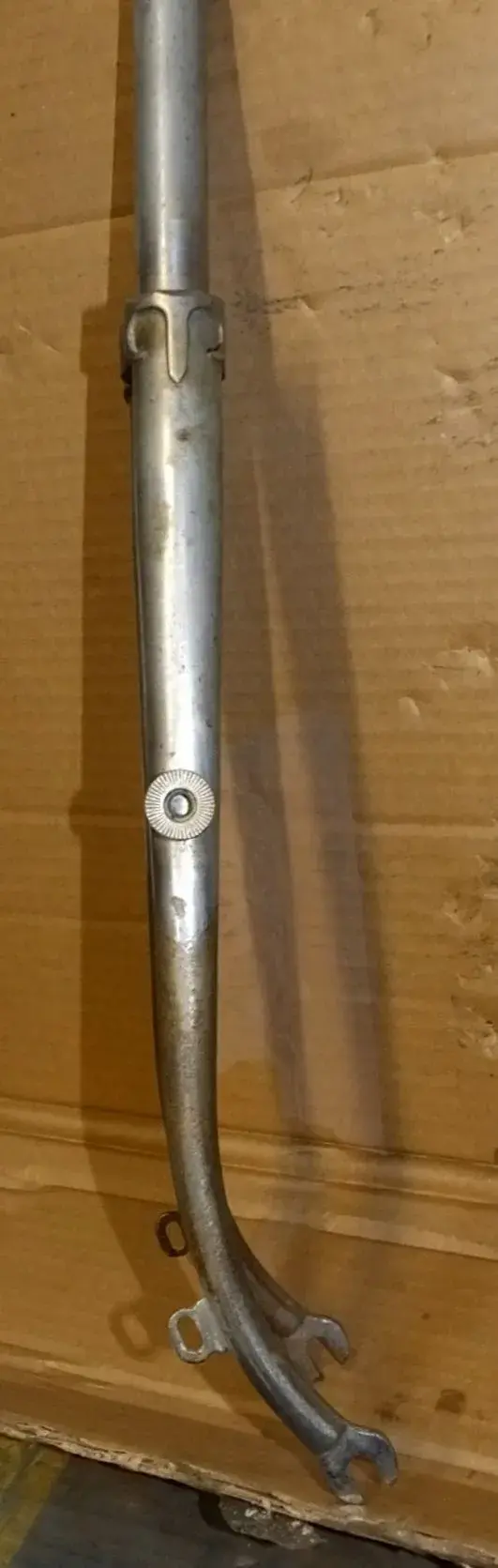 DSCF7547.webp