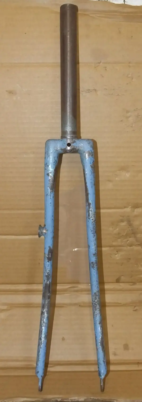 DSCF7548.webp