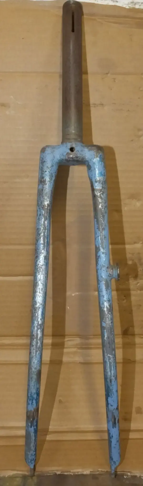 DSCF7549.webp