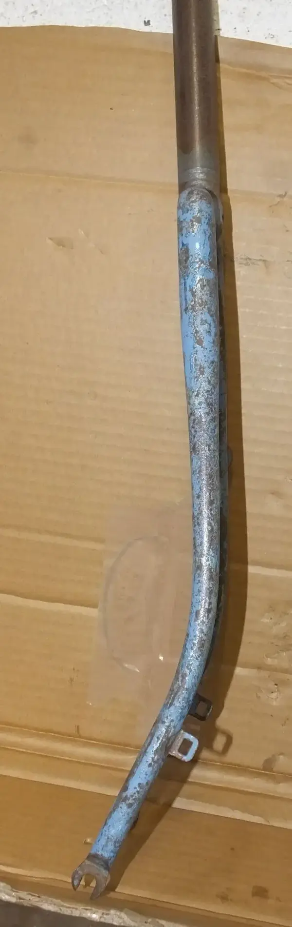 DSCF7551.webp