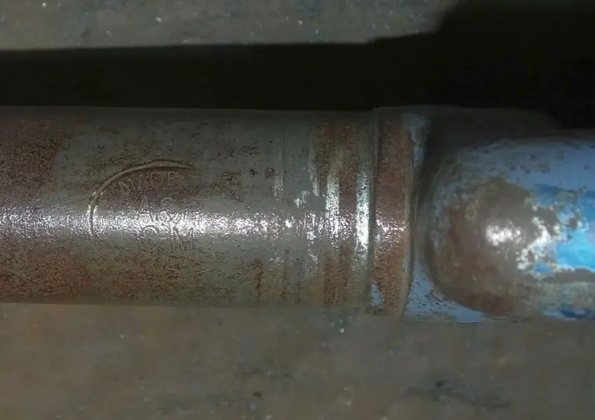 DSCF7553.webp
