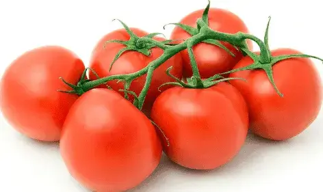 1677683410620.webp