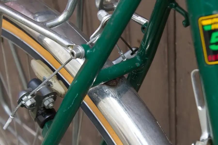 rando cycles5.webp
