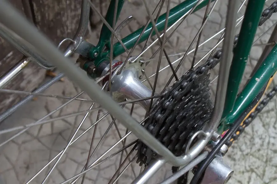 rando cycles6.webp