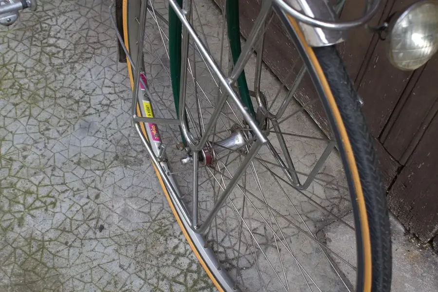 rando cycles13.webp