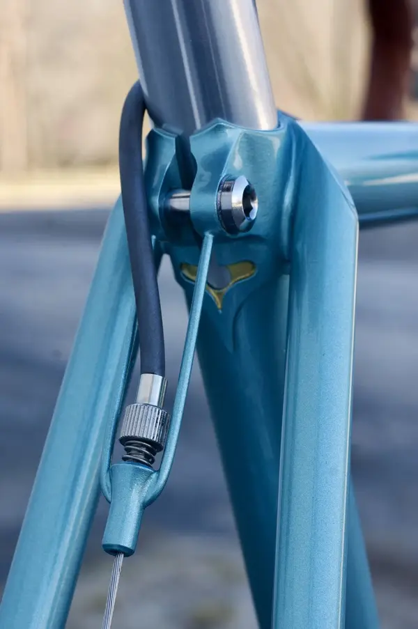 Brian Chapman 650b rando4.webp
