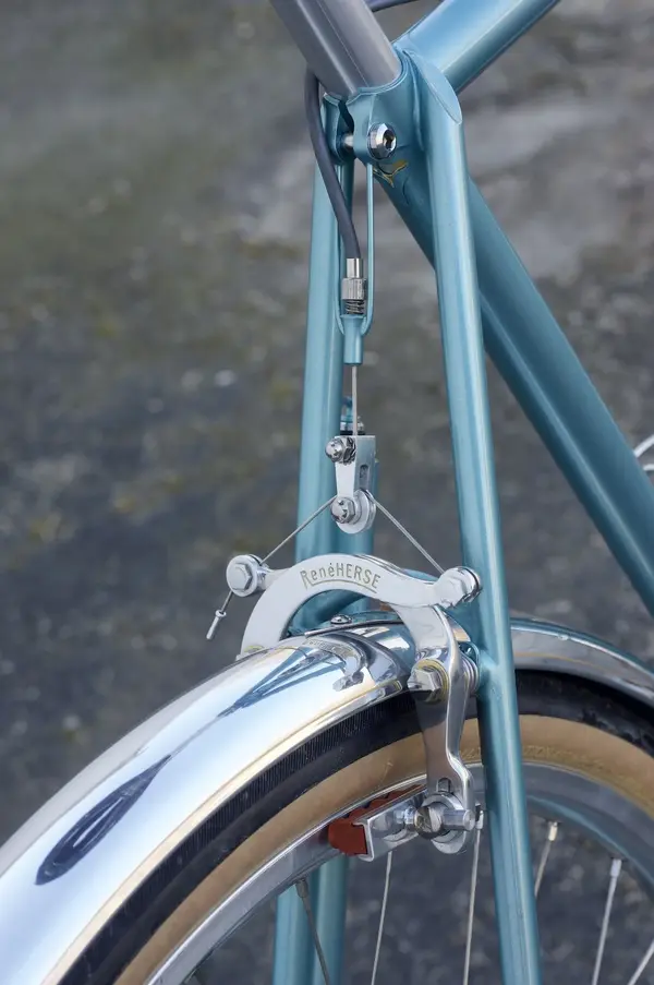 Brian Chapman 650b rando5.webp