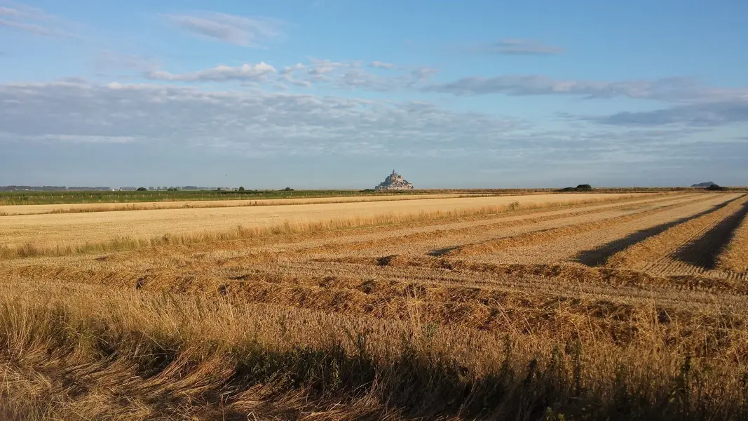 20190729_074217.jpg