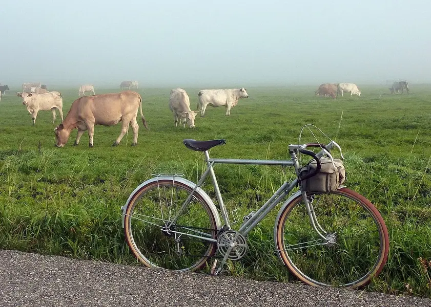 Hugonnier Routens 7.webp
