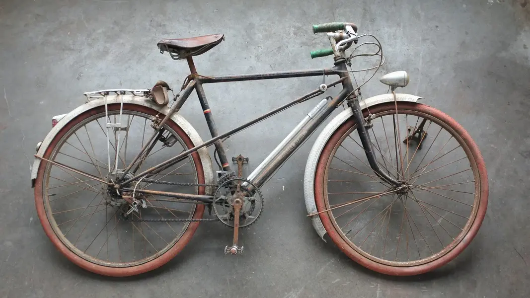 Rene Greslin Herge cycles1.webp