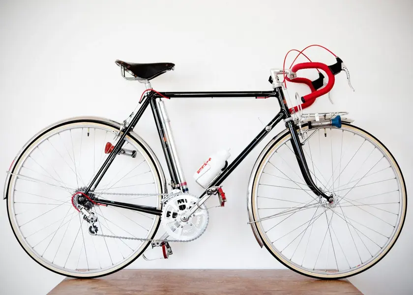 ASingerrandonneur1.webp