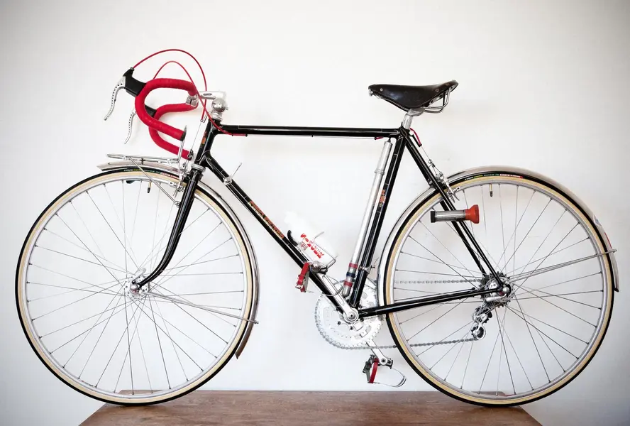ASingerrandonneur45.webp