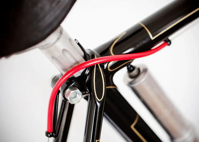 ASingerrandonneur2.webp