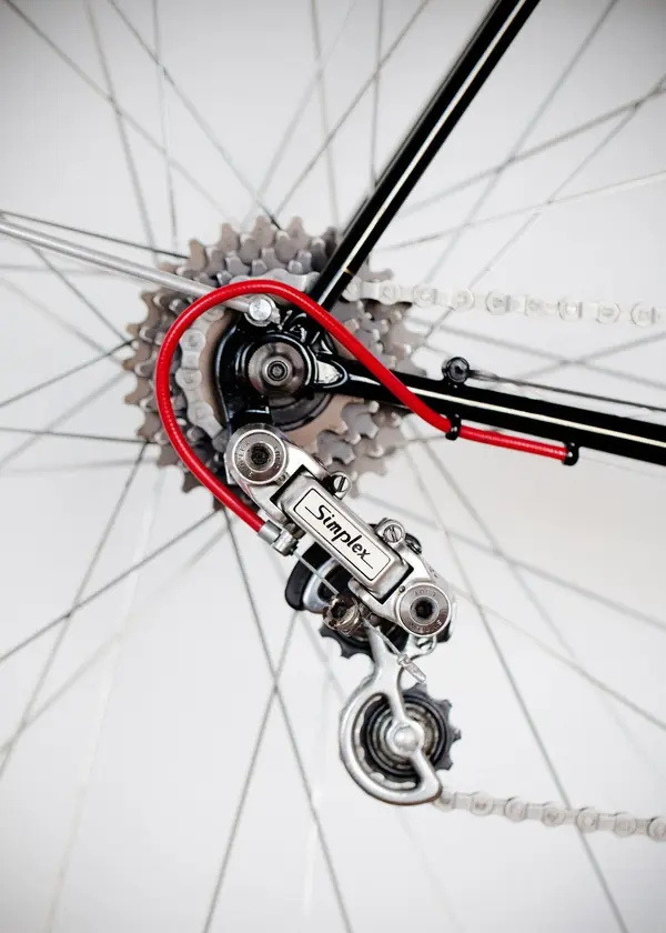 ASingerrandonneur4.webp
