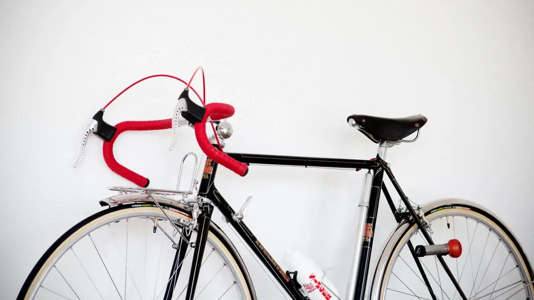 ASingerrandonneur12.webp