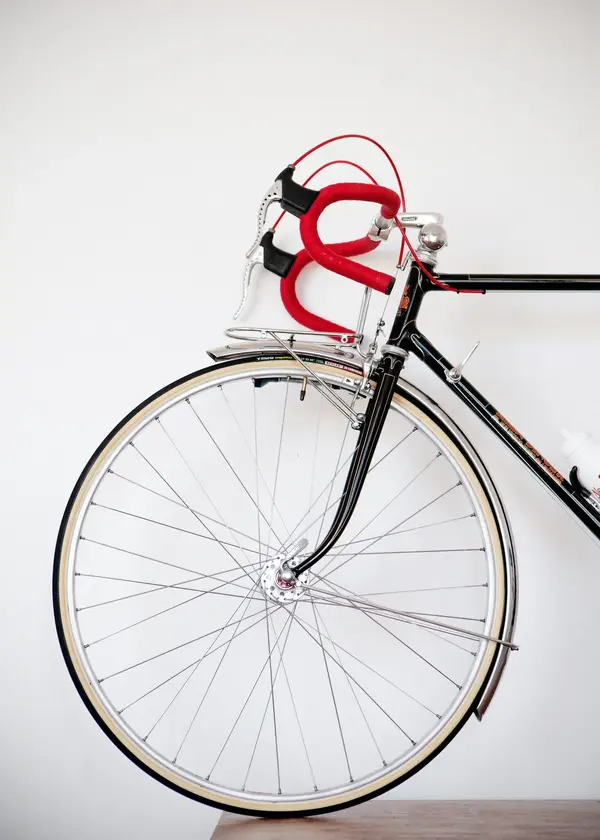 ASingerrandonneur13.webp