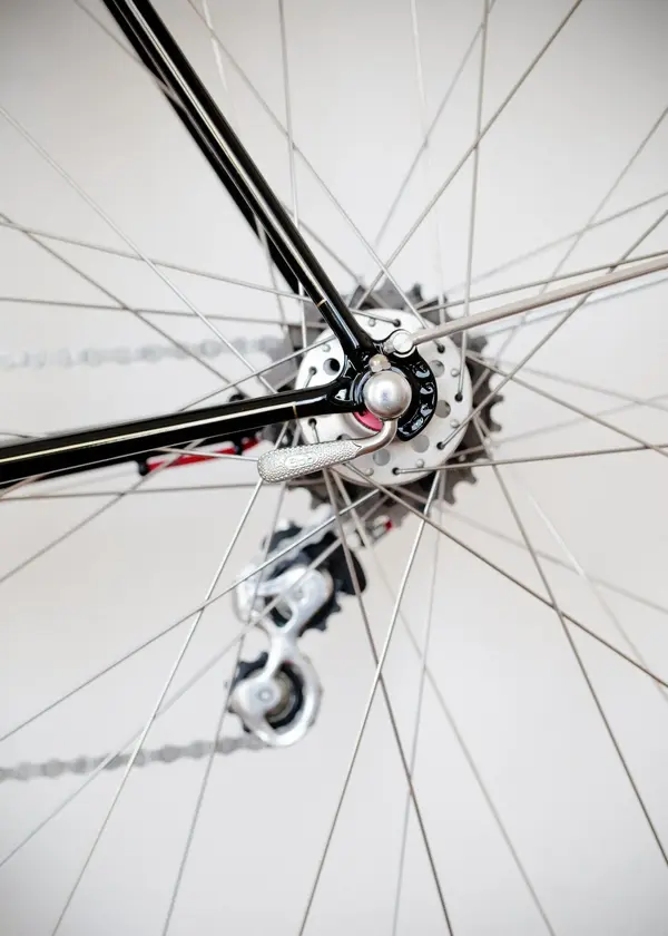 ASingerrandonneur16.webp