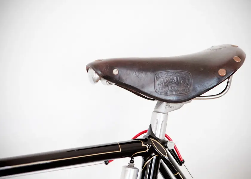 ASingerrandonneur35.webp