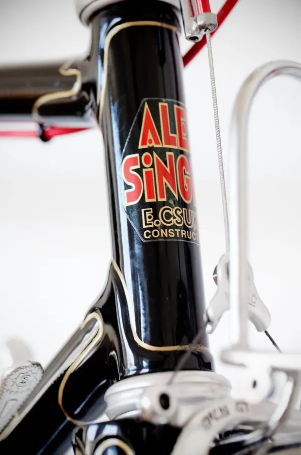 ASingerrandonneur36.webp