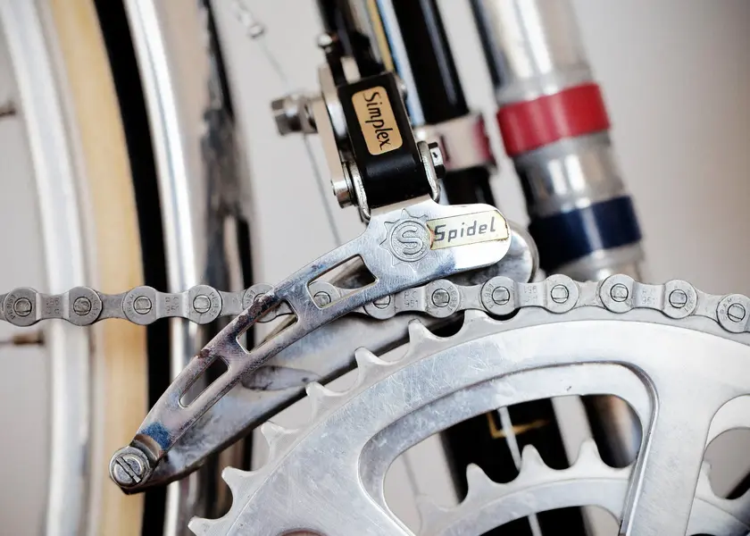 ASingerrandonneur39.webp