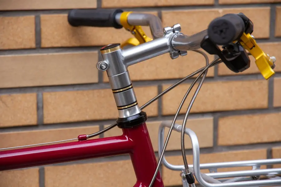 Surly Pack Rat porteur 4.webp