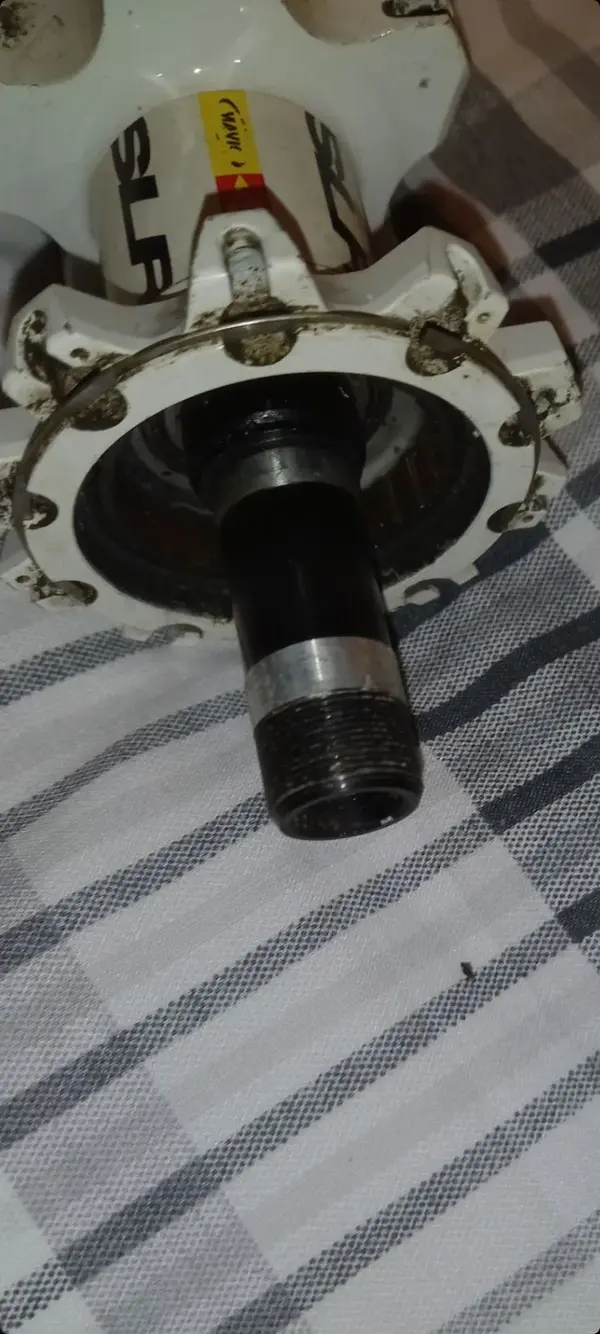 Screenshot_20230309-211559_Gallery.webp