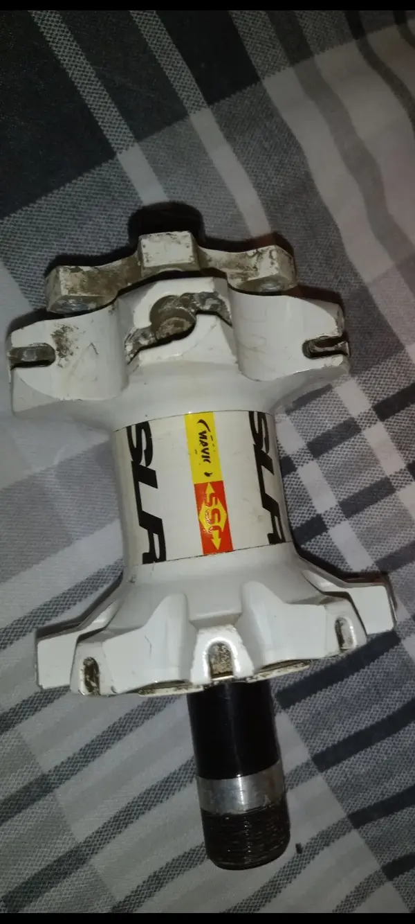 Screenshot_20230309-211530_Gallery.webp