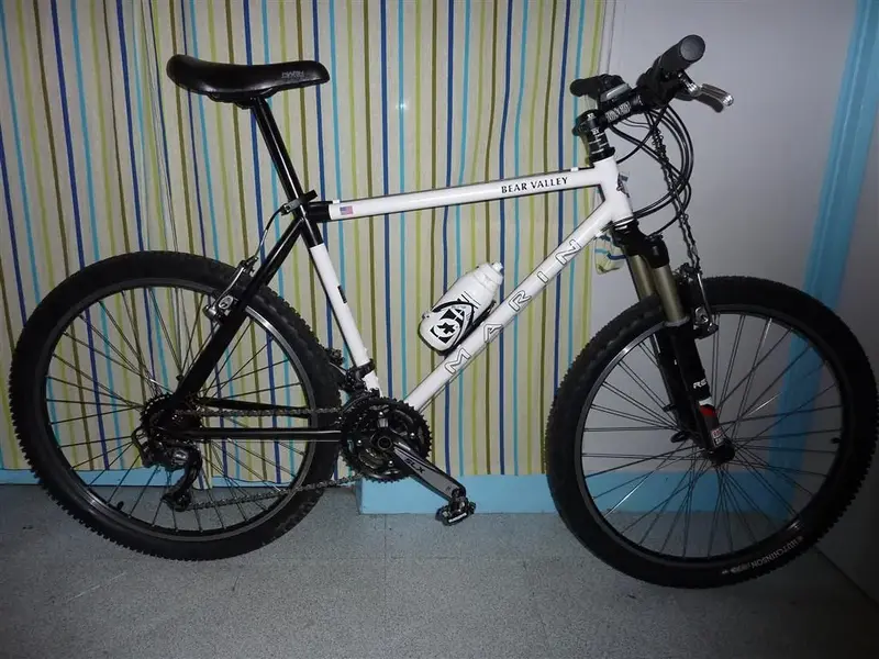 P1000713 (Medium).webp