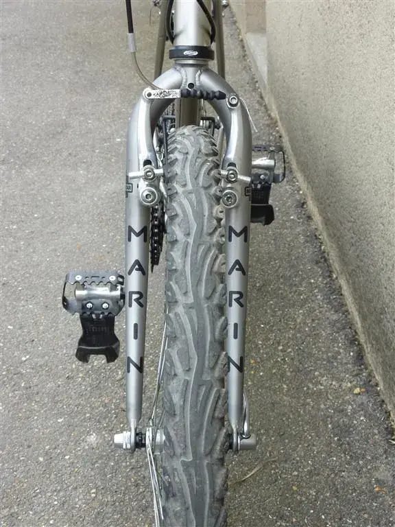P1000655 (Medium).webp