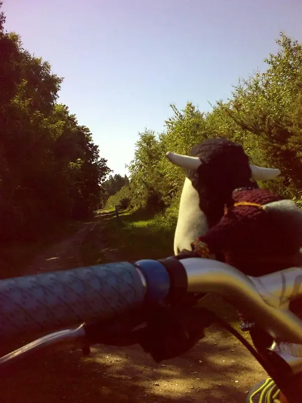 30052009272_488.webp