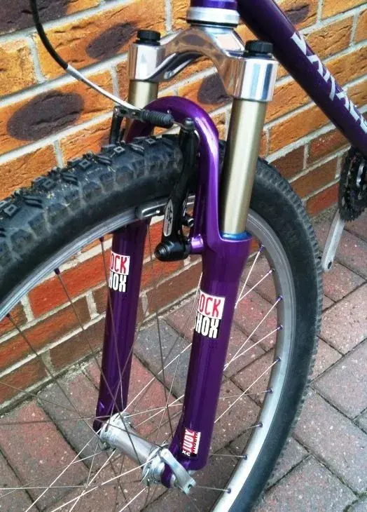 JudyPurp.webp