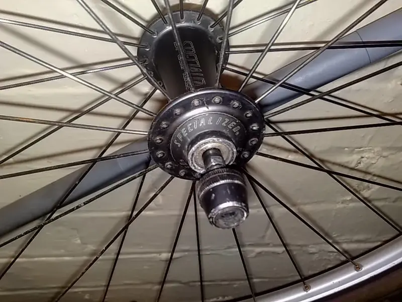 spec wheel 005.webp