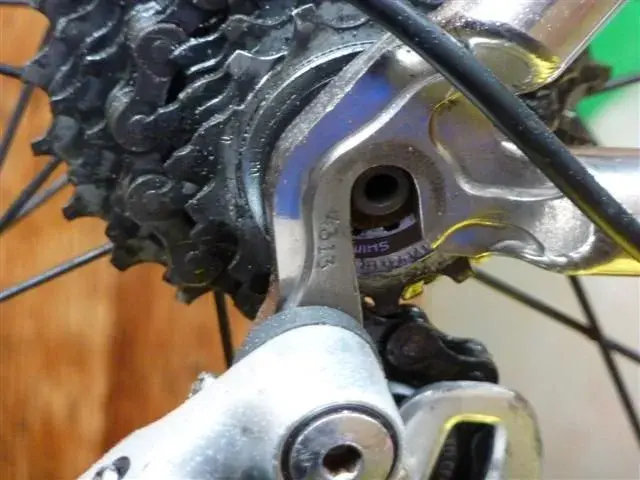 TEAM TITANIUM SERIAL NO. 004 (Small).webp