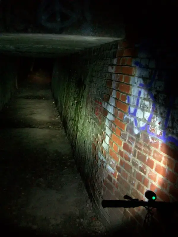 spooky2.webp