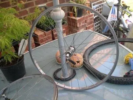 Wheely Good.webp