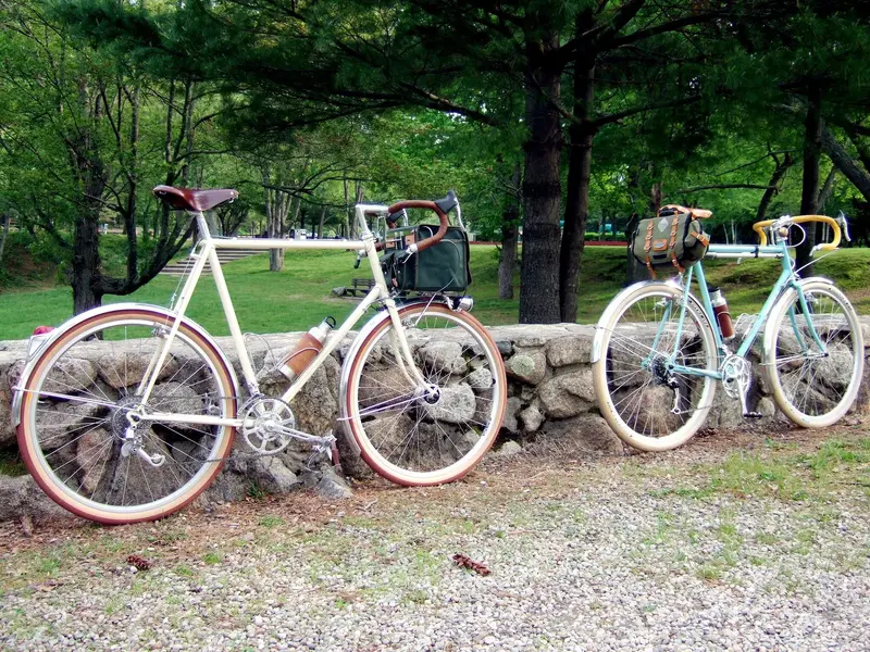 Shogun 650b con 1984 1.webp