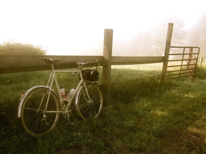 Shogun 650b con 1984 15.webp