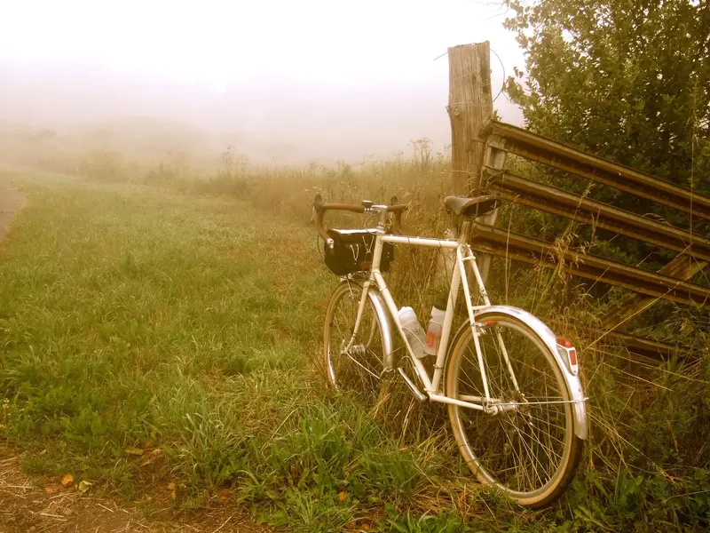 Shogun 650b con 1984 16.webp