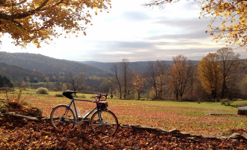 RawlandStag650bJeffLyon fork 14.webp
