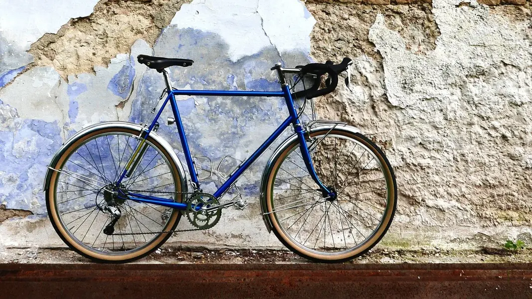 Arko rinko randonneur 2.webp