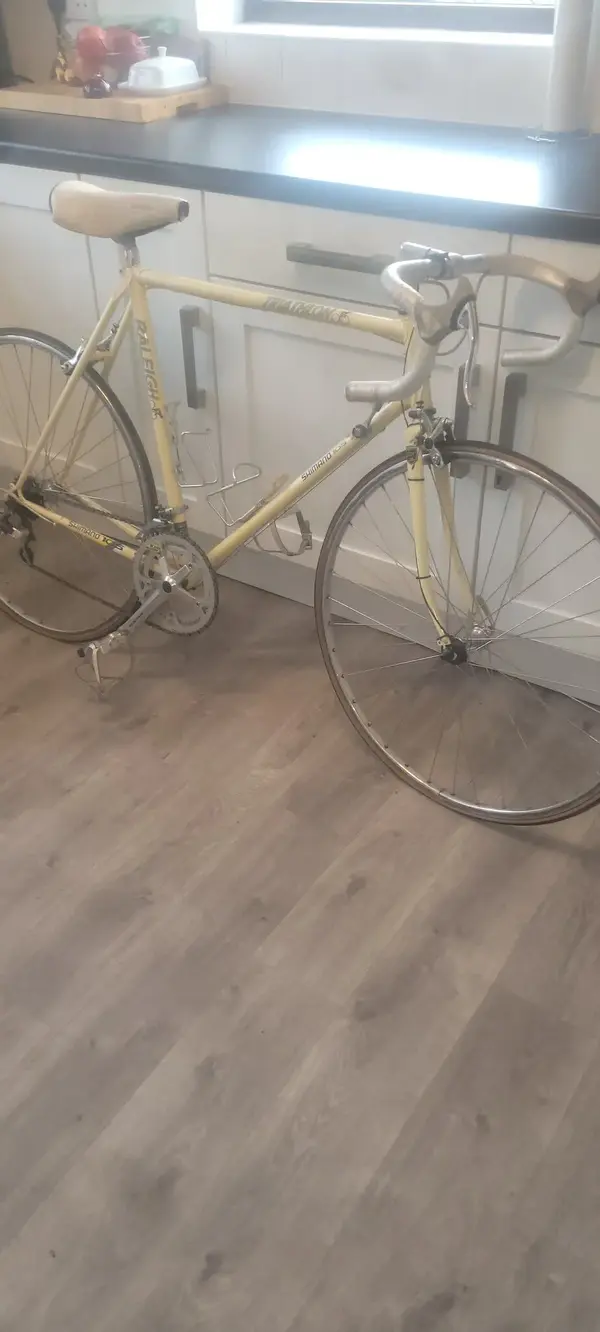 Raleigh triathlon 105 all original just found it in shed what have