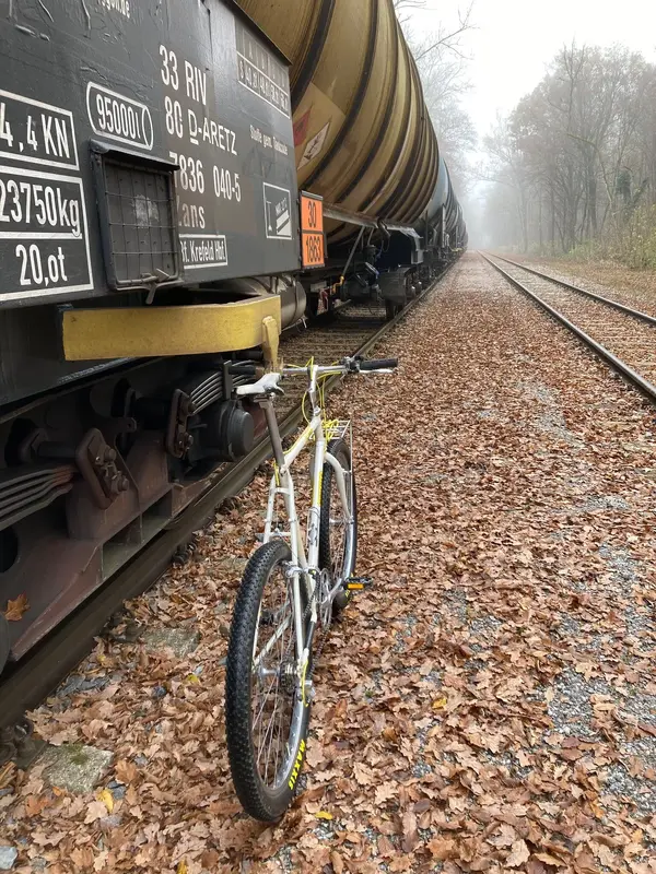 MuddyFoxCourier-Rails - 1.webp