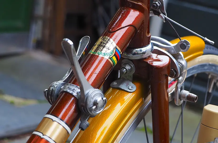 P3042819.webp