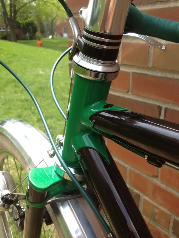 fitz cycles17.webp