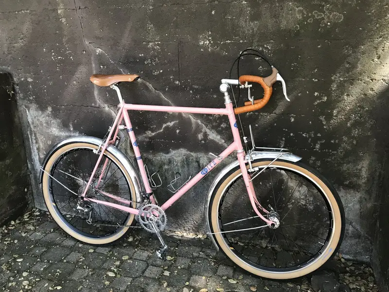 fitz cycles1.webp