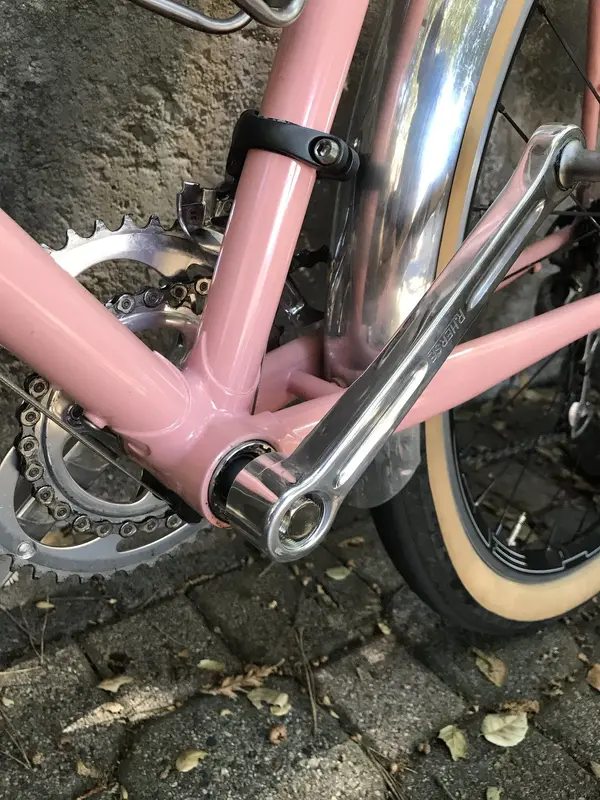 fitz cycles2.webp