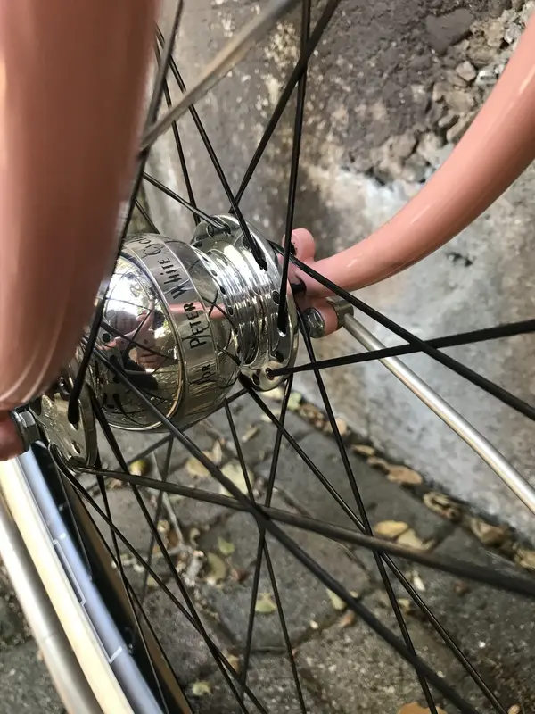 fitz cycles3.webp